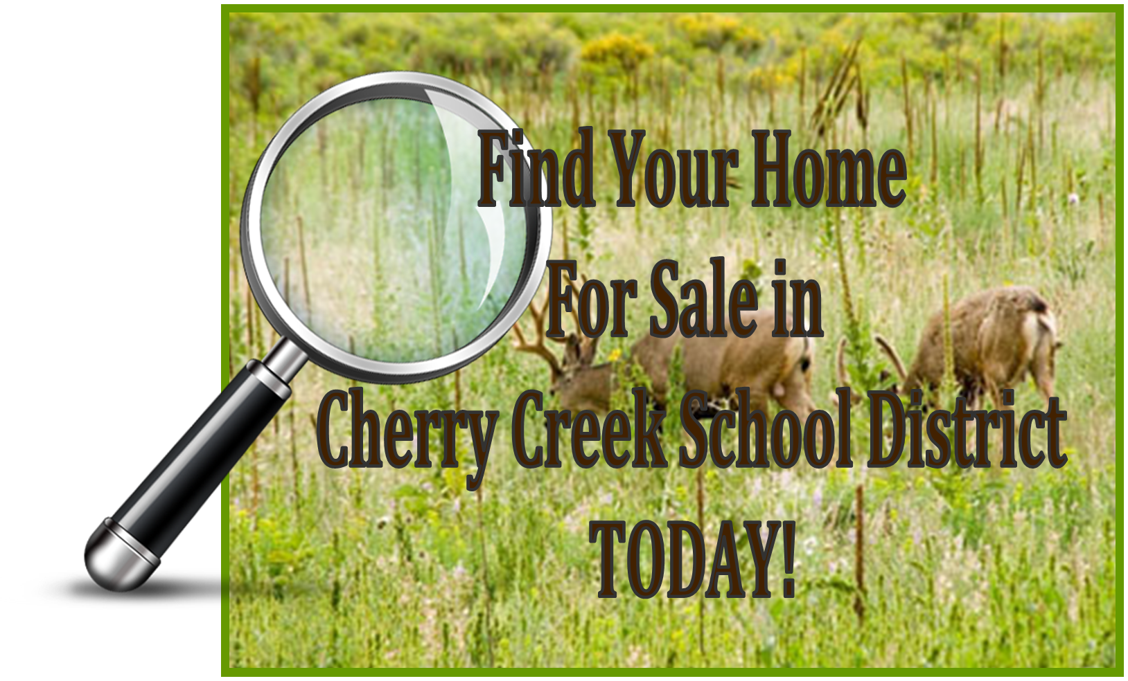 Homes for Sale in Cherry Creek School District from 250,000500,000